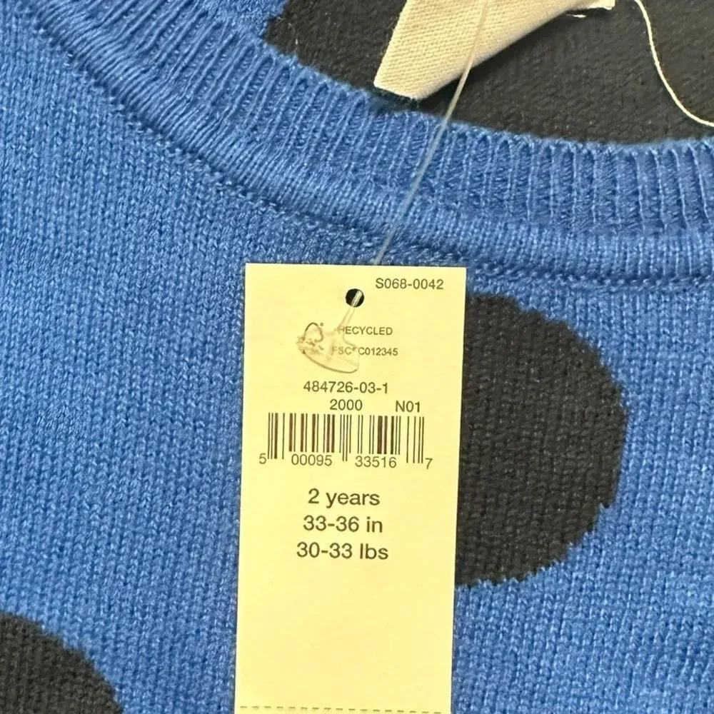 GAP Kids | Blue | DOTS SWEATER
